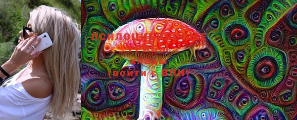 марки lsd Корсаков