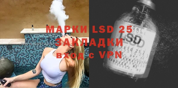 ПСИЛОЦИБИНОВЫЕ ГРИБЫ Костерёво