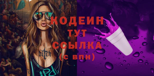 дживик Краснослободск