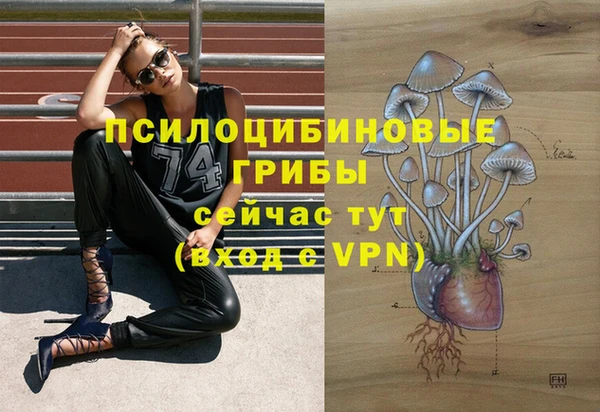 МДМА Кодинск